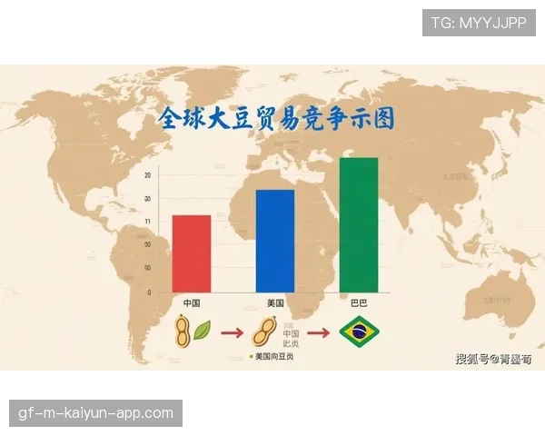 商务部回应中美大豆贸易与波音订单进展,中美大豆协议 商务部回应中美大豆贸易与波音订单进展,中美大豆协议